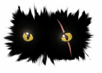 regard panthere