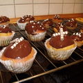 Muffins citron / chocolat