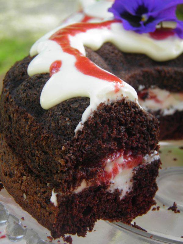 gâteau d'anniversaire (pour les nuls) chocolat et fraises - Aux délices ...