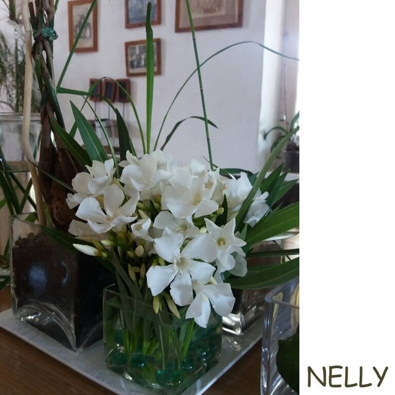 NELLY