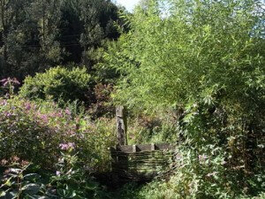RIMG48029-300x225