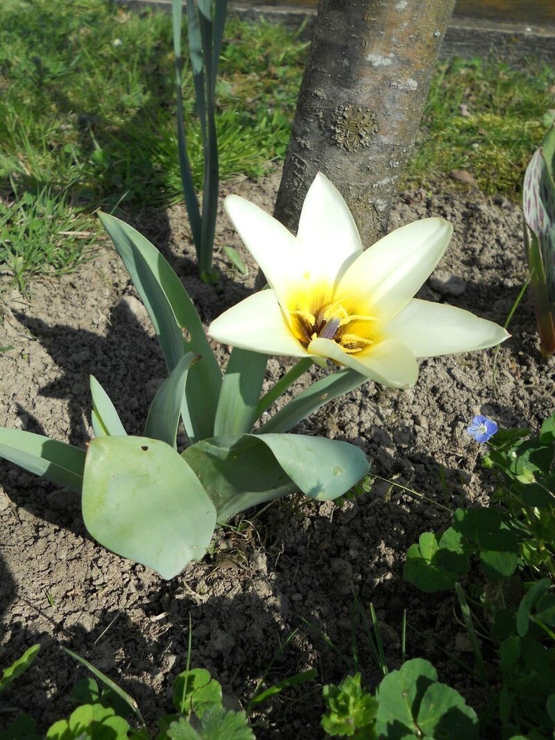DSCN3322