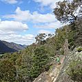 DSC09789