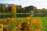 images_297