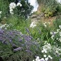 Les jardins panoramiques de limeuil (dordogne) (12)