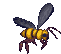 abeille_11