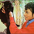 Michael Jackson et les animaux