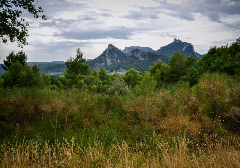 DSC_6306;