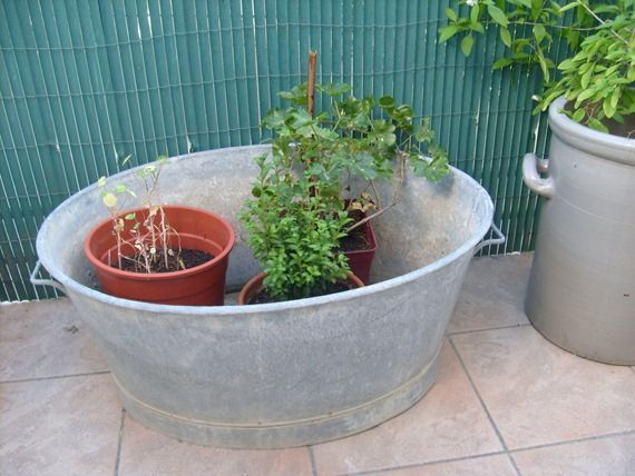bassine