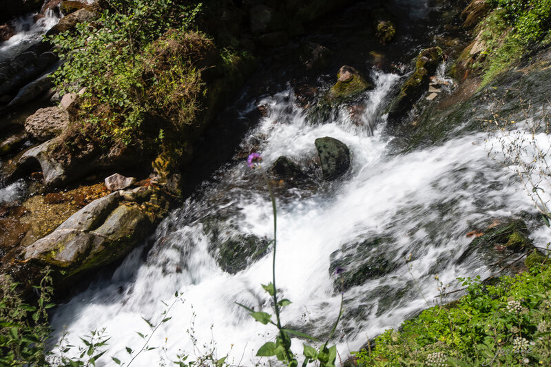 16082019-_MG_5521