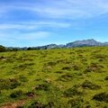 Le Massif de la Pierre Saint Martin depuis les landes du Soulaing...