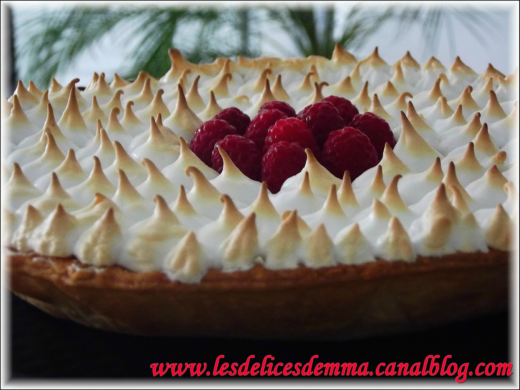 Tarte Citron Framboises Meringuee Les Delices D Emma