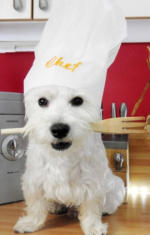 westie&&
