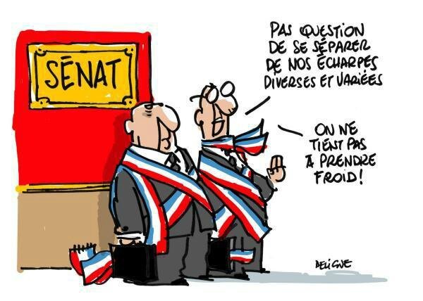 cumul-des-mandats-le-senat-gagne-une-manche_reference