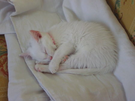 BILD2602