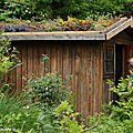Comment végétaliser le toit d'un abri de jardin