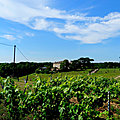 bastides tarn (16)