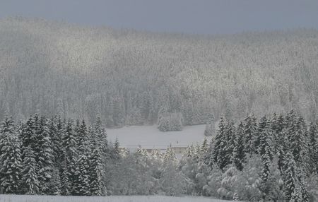Paysage ennneigé