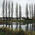 IMGP3286
