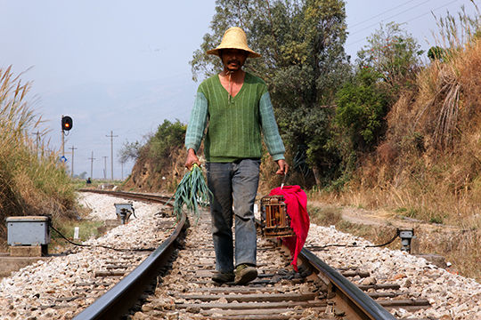 Chemin_de_fer_du_Yunnan_7_chinopsis_Adeline_Cassier