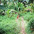 IMG_2290