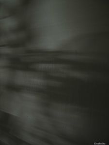 IMG_0101