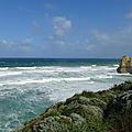 DSC09570