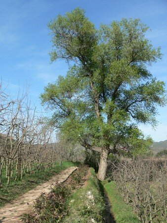 maroc__18_