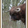 IMG_1036copie_bewerkt-1