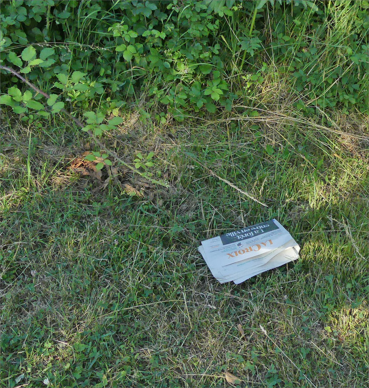 Déchets journal La Croix forêts 300522 0