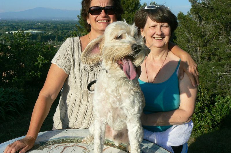 Pourquoi Le Pont D Avignon N Est Pas Terminé Un peu des balades et des rencontres de Jogeo depuis son passage à l
