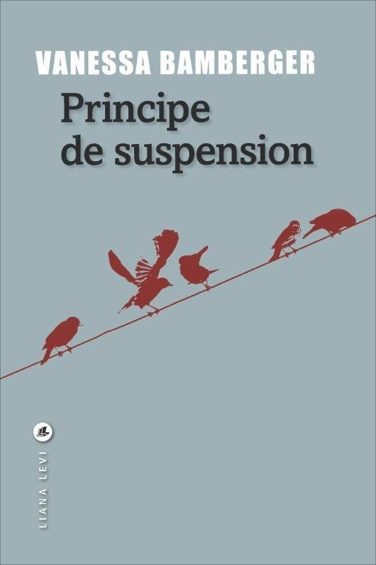 ob_589e96_principe-de-suspension