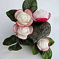 Rose en radis