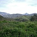 CIMG3591