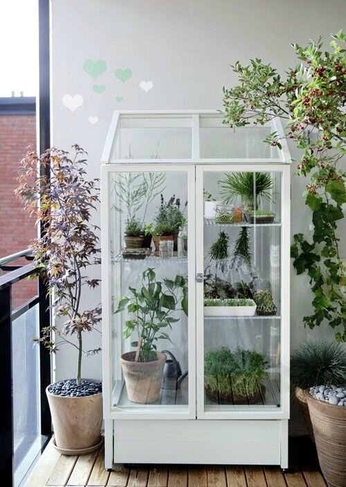 small-greenhouse