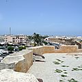 P1000929