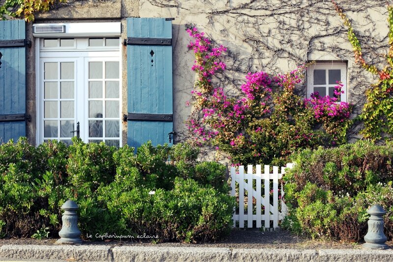 Solidor 2