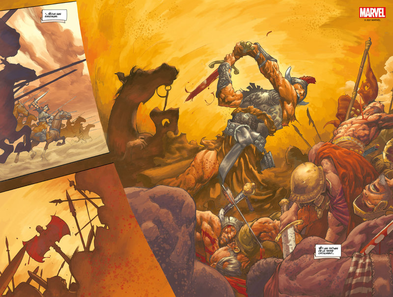 panini conan omnibus par busiek e