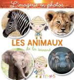 les animaux de la savane imagerie photos
