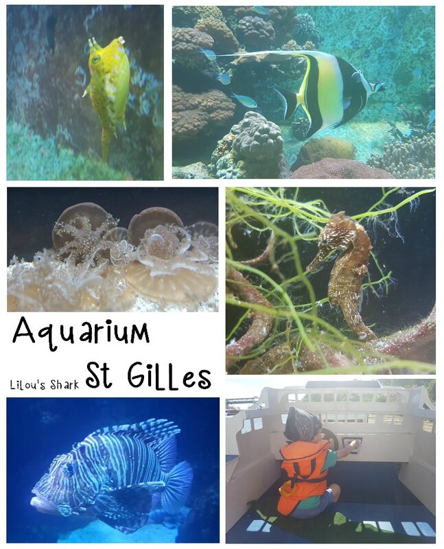 aquarium st gilles