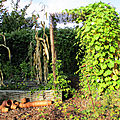 Ste gemmes sur loire, le jardin du presbytère ...
