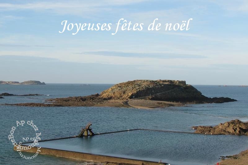 vendredi 18 déc 2015 superbe temps à st Malo au marché noël 016