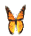 Papillons_14