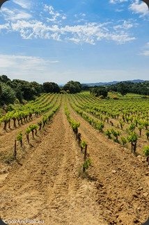 Rhone2021-195