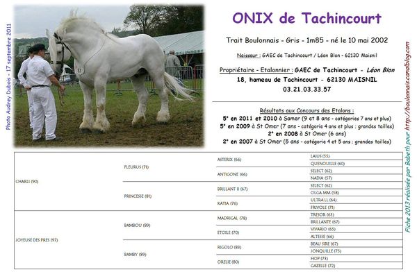 Onix_de_Tachincourt