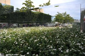 miroirs de Laurent-Perrier 2