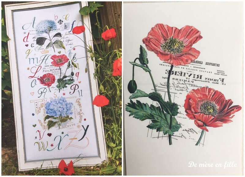 coquelicots