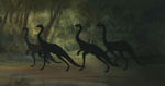 PDVD_055