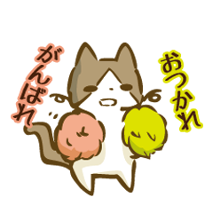 hhhh