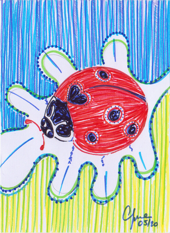 coccinelle 1
